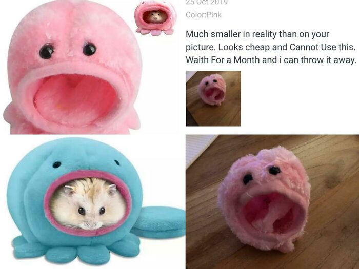 Wait, They Actually Shipped That?! The Funniest Temu & AliExpress Fails Ever