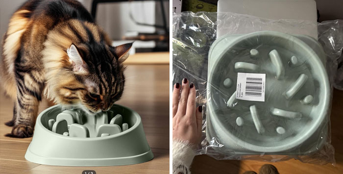 Wait, They Actually Shipped That?! The Funniest Temu & AliExpress Fails Ever