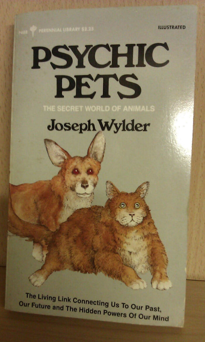 Wait, They Actually Put These Ridiculous Book Covers Out?!
