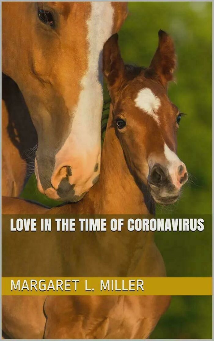 Wait, They Actually Put These Ridiculous Book Covers Out?!