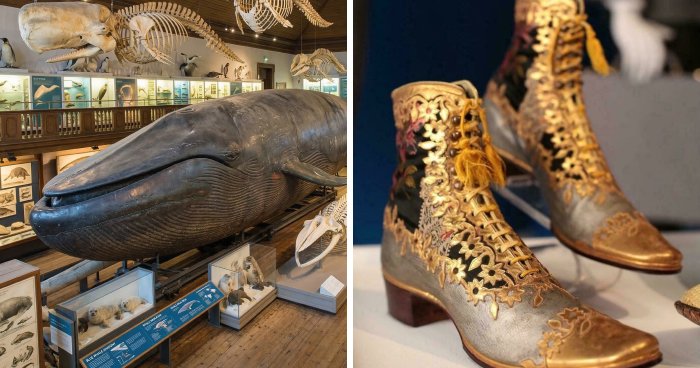 35 Mind-Blowing Historical Treasures That Somehow Made It Through Time