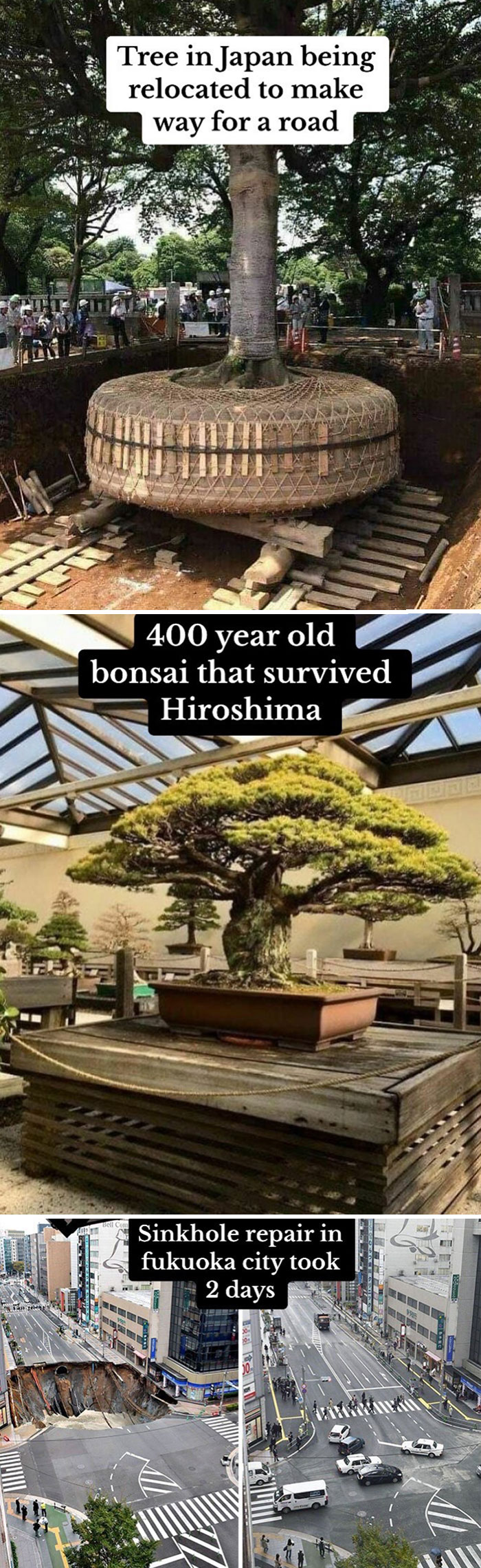 83 Mind-Blowing Facts That’ll Make You Go “Wait, What?!”