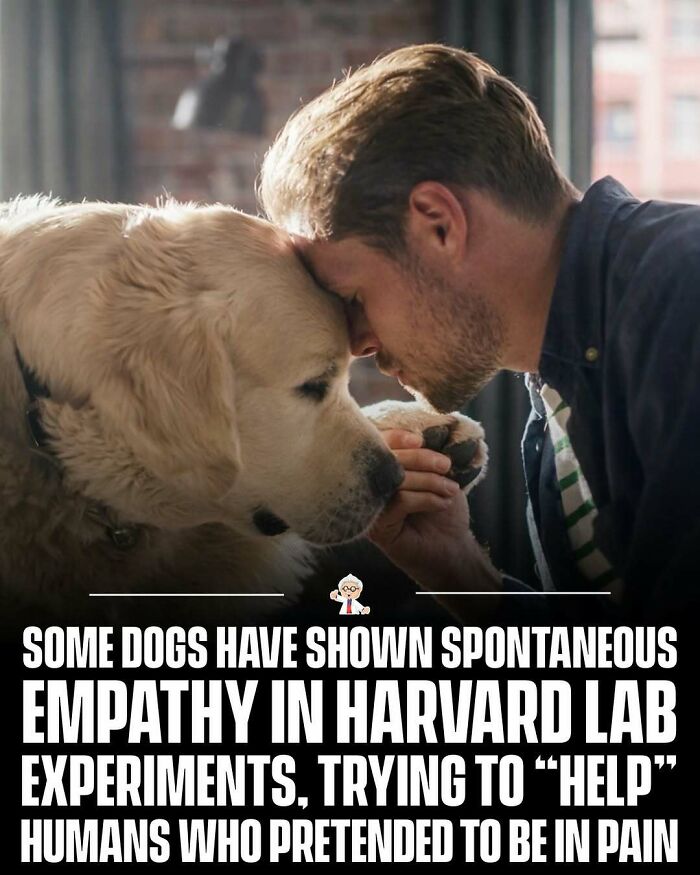 83 Mind-Blowing Facts That’ll Make You Go “Wait, What?!”