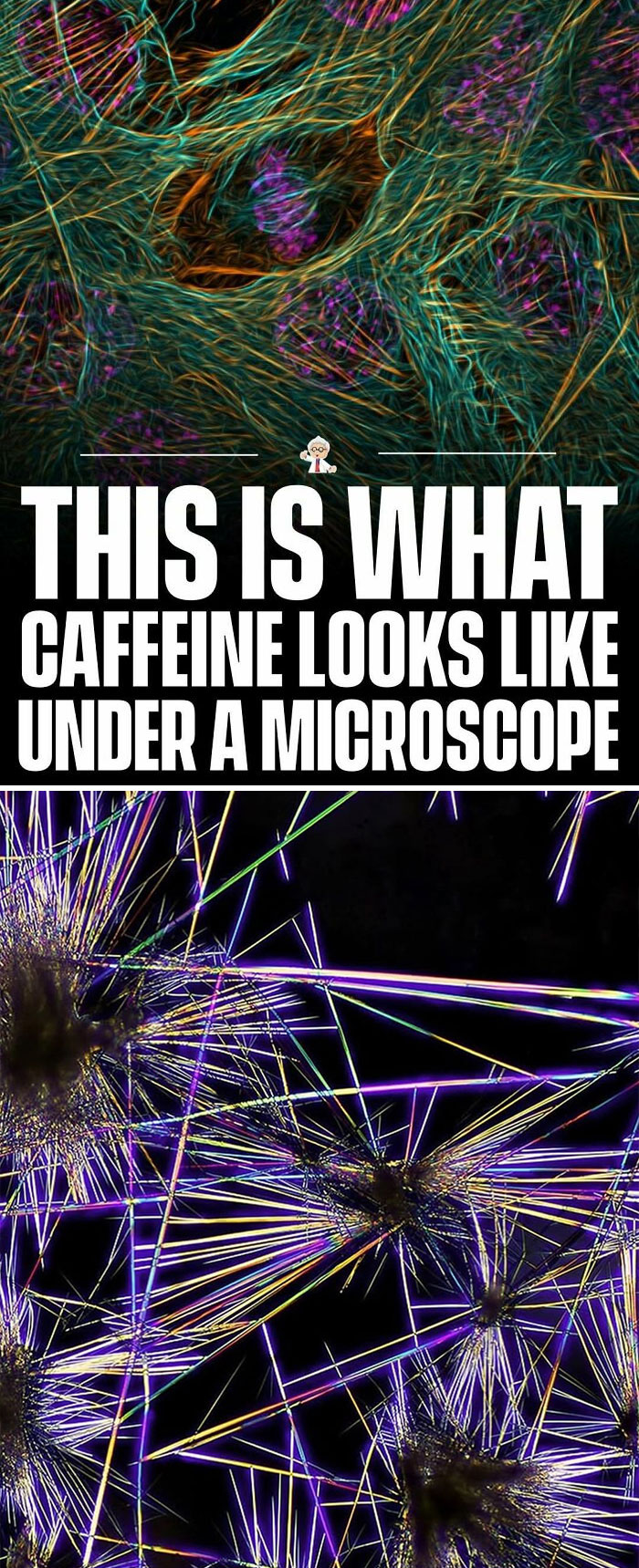 83 Mind-Blowing Facts That’ll Make You Go “Wait, What?!”