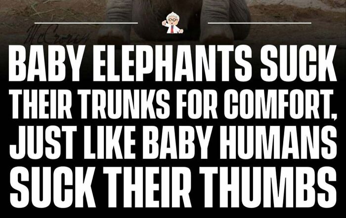 83 Mind-Blowing Facts That’ll Make You Go “Wait, What?!”