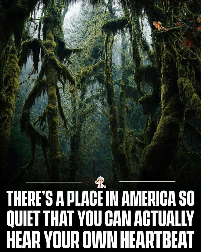 83 Mind-Blowing Facts That’ll Make You Go “Wait, What?!”