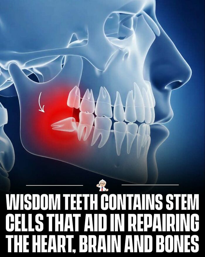 83 Mind-Blowing Facts That’ll Make You Go “Wait, What?!”