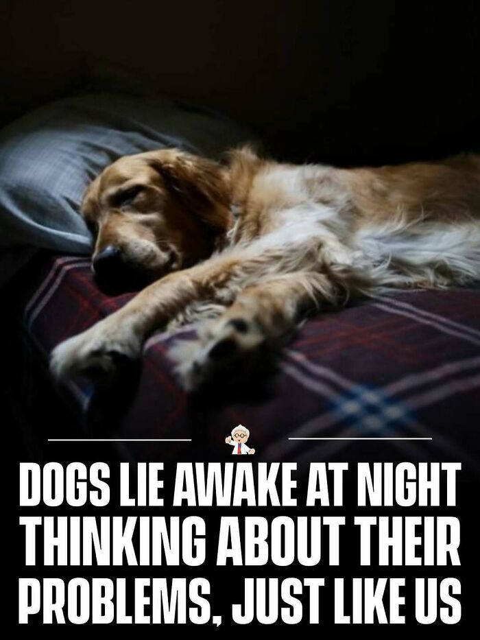 83 Mind-Blowing Facts That’ll Make You Go “Wait, What?!”