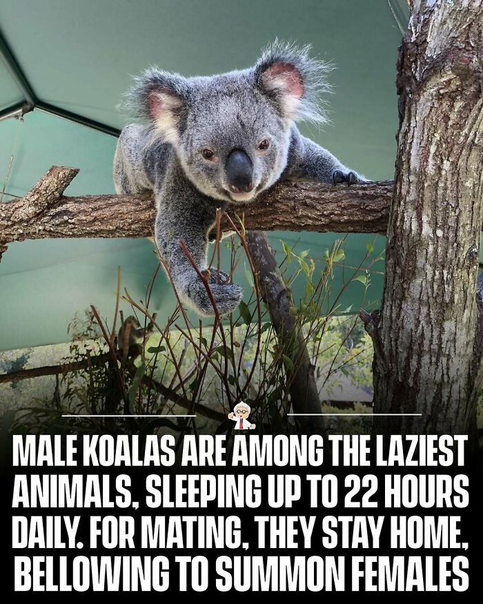 83 Mind-Blowing Facts That’ll Make You Go “Wait, What?!”