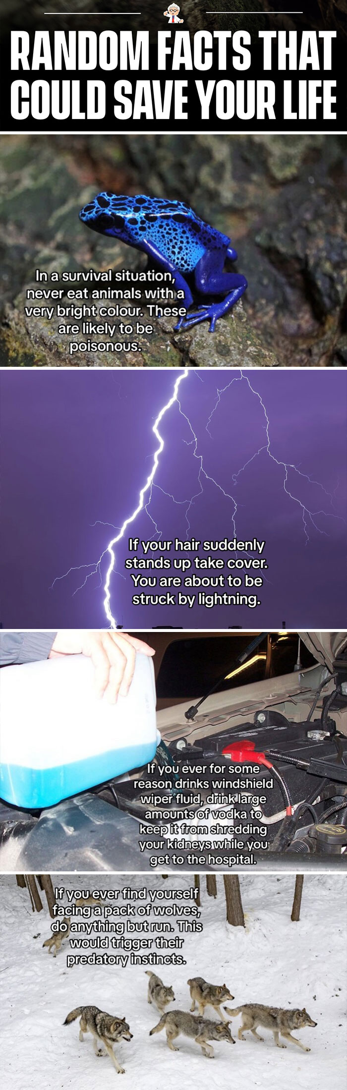 83 Mind-Blowing Facts That’ll Make You Go “Wait, What?!”