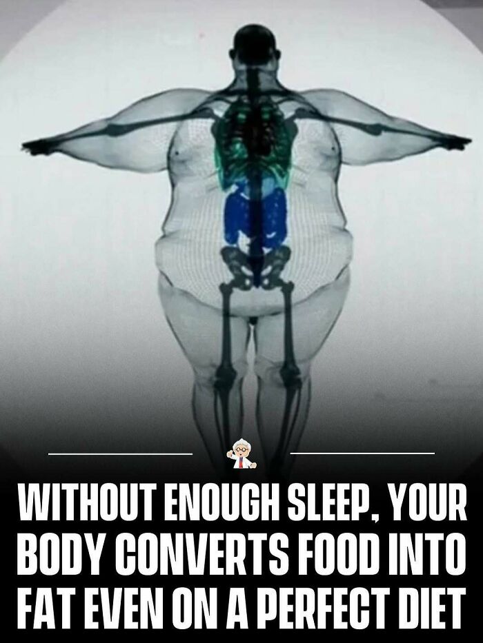 83 Mind-Blowing Facts That’ll Make You Go “Wait, What?!”