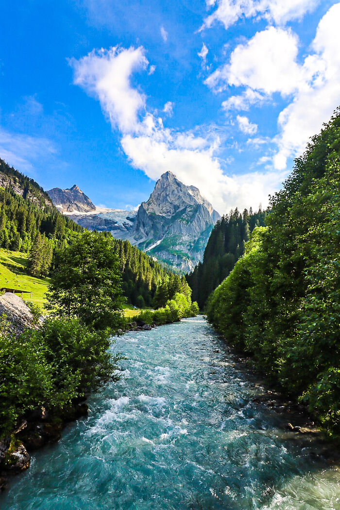 Alpine Stream Of Consciousness