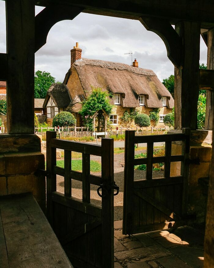 Thatch Made In Heaven