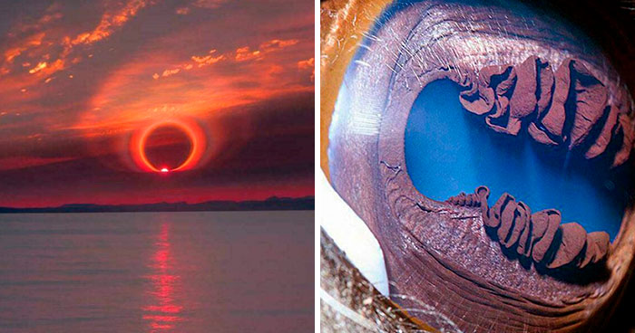 Wait, They Actually Ranked That?! 40 Mind-Blowing Earth Oddities