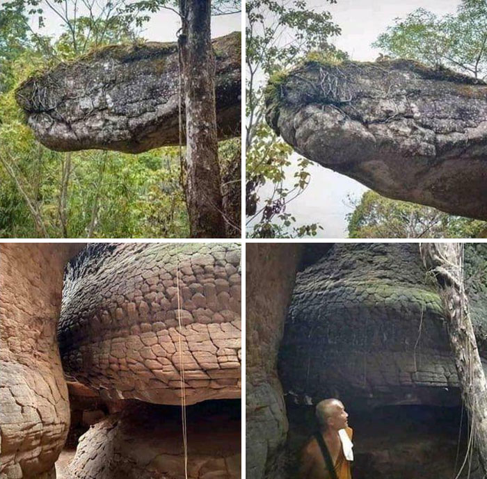 This Cave in Thailand Looks Exactly Like a Giant Petrified Snake. No Joke.