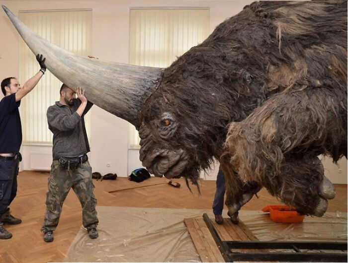 Meet the Siberian Unicorn—a 4-Ton Horned Beast That Trampled Earth 40,000 Years Ago