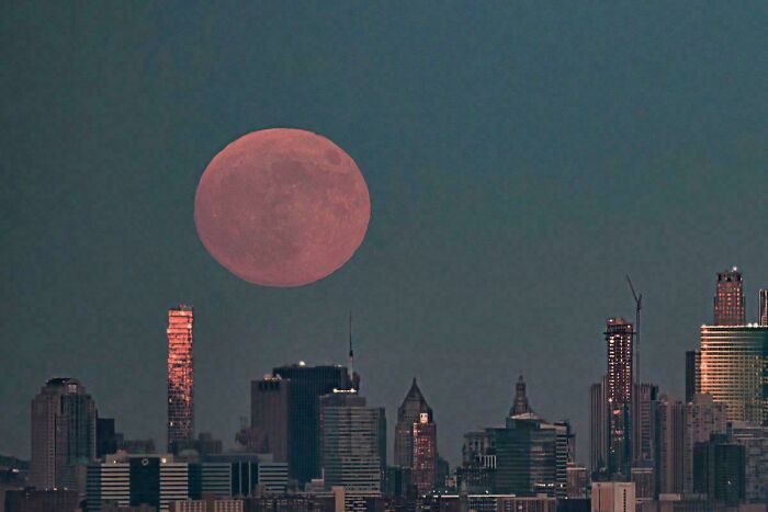 Tonight’s Strawberry Moon Is the Lowest Full Moon in Nearly 20 Years—Get Your Moon-Gazing On!