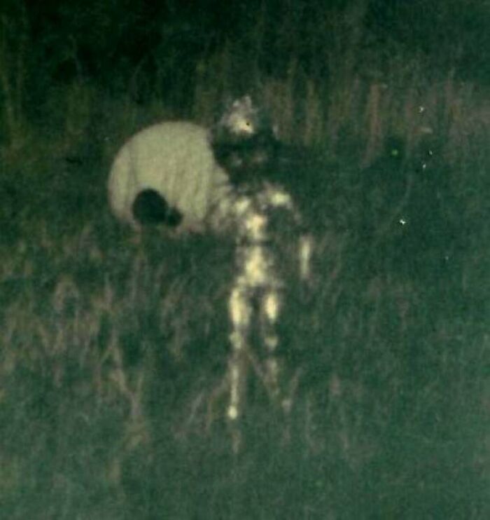 The Ronnie Hill Incident of 1967: Kid Snaps One of the Most Bizarre UFO Photos Ever
