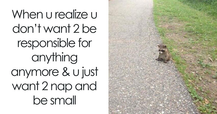 Let’s Scroll Through These Hilarious Memes That Totally Get You