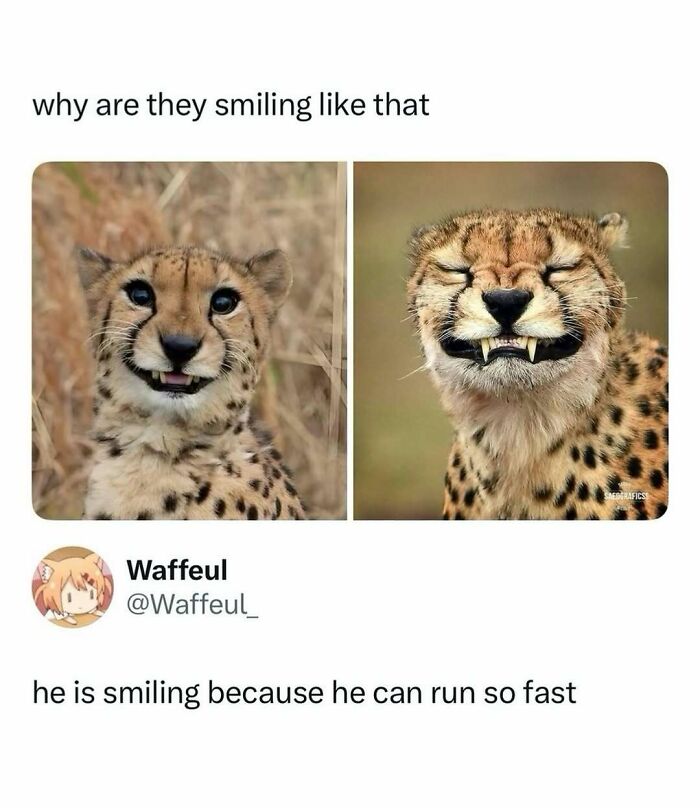 Let's Scroll Through These Hilarious Memes That Totally Get You