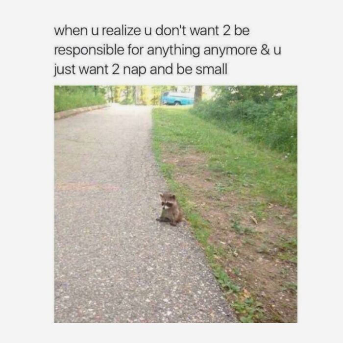 Let's Scroll Through These Hilarious Memes That Totally Get You