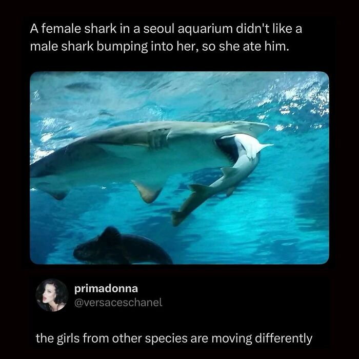 Let's Scroll Through These Hilarious Memes That Totally Get You