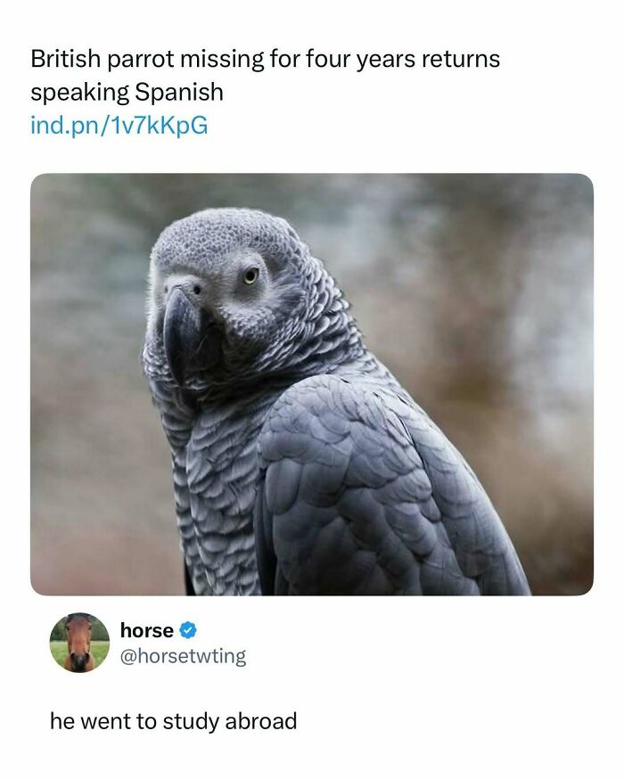 Let's Scroll Through These Hilarious Memes That Totally Get You