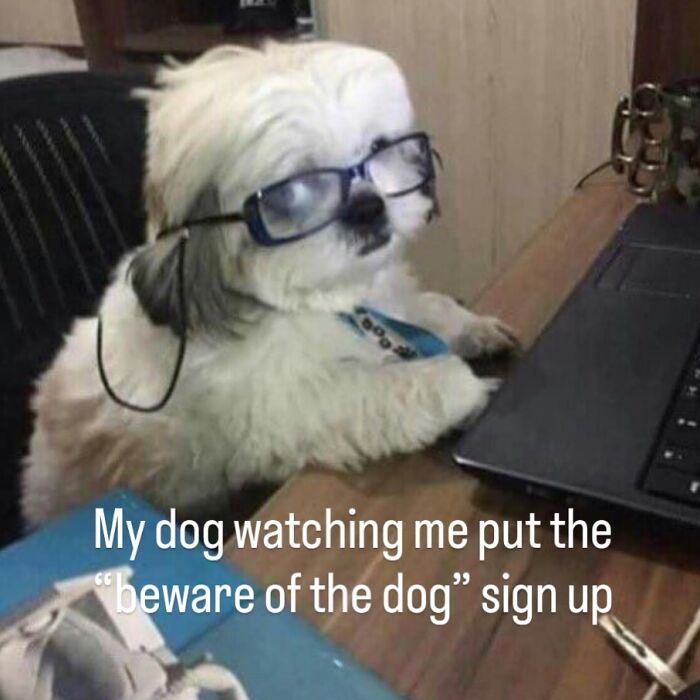 Let's Scroll Through These Hilarious Memes That Totally Get You