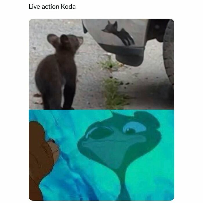 Let's Scroll Through These Hilarious Memes That Totally Get You