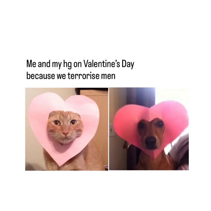 Let's Scroll Through These Hilarious Memes That Totally Get You