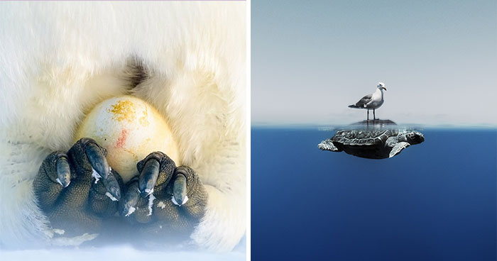 Ocean Awesomeness: 51 Jaw-Dropping Pics From The Ocean Photographer Contest