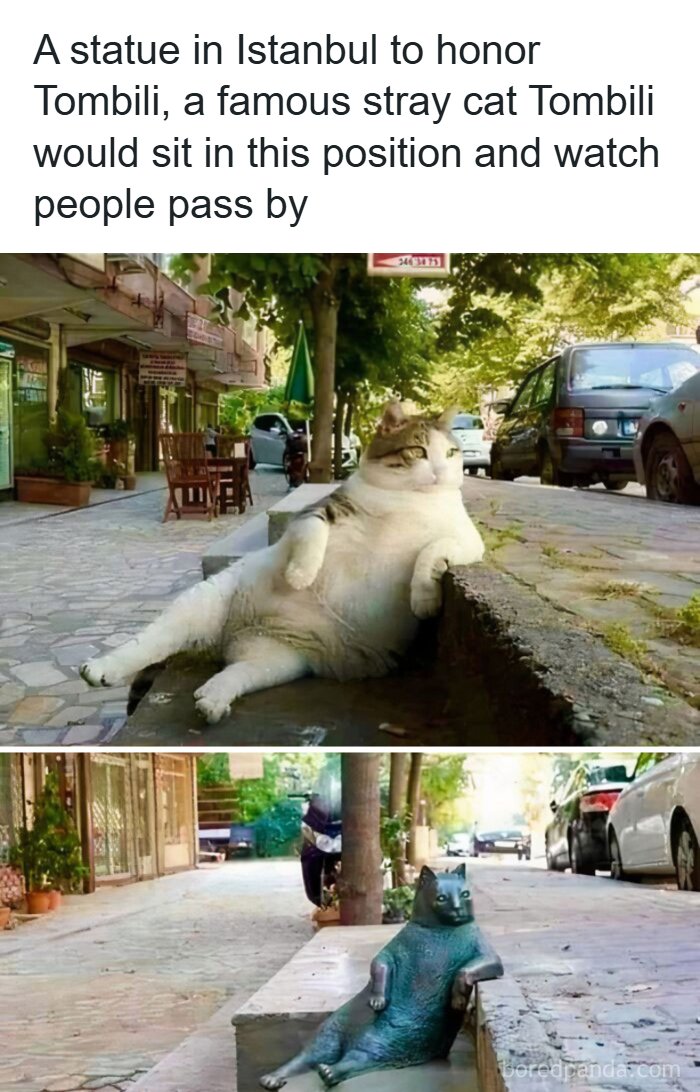 History Moments That Surprise You More Than Your Favorite Plot Twist