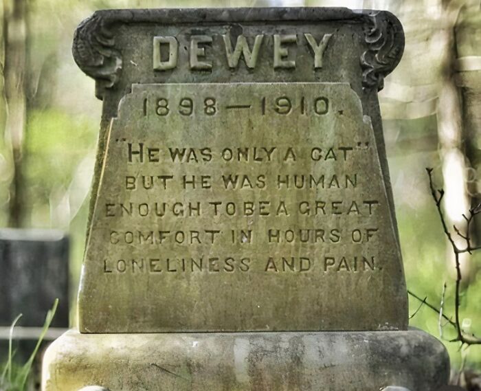 History Moments That Surprise You More Than Your Favorite Plot Twist