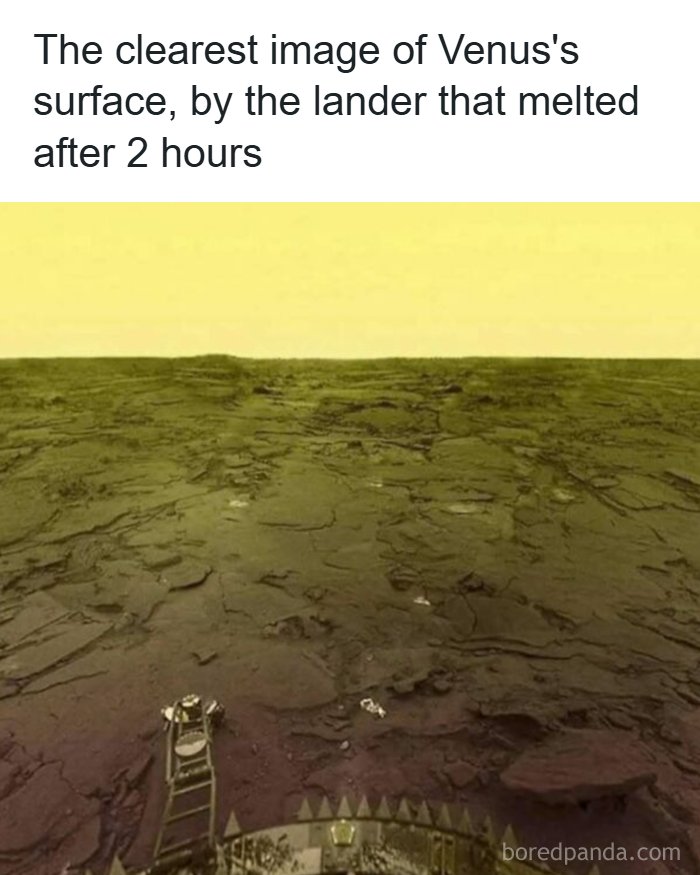 History Moments That Surprise You More Than Your Favorite Plot Twist