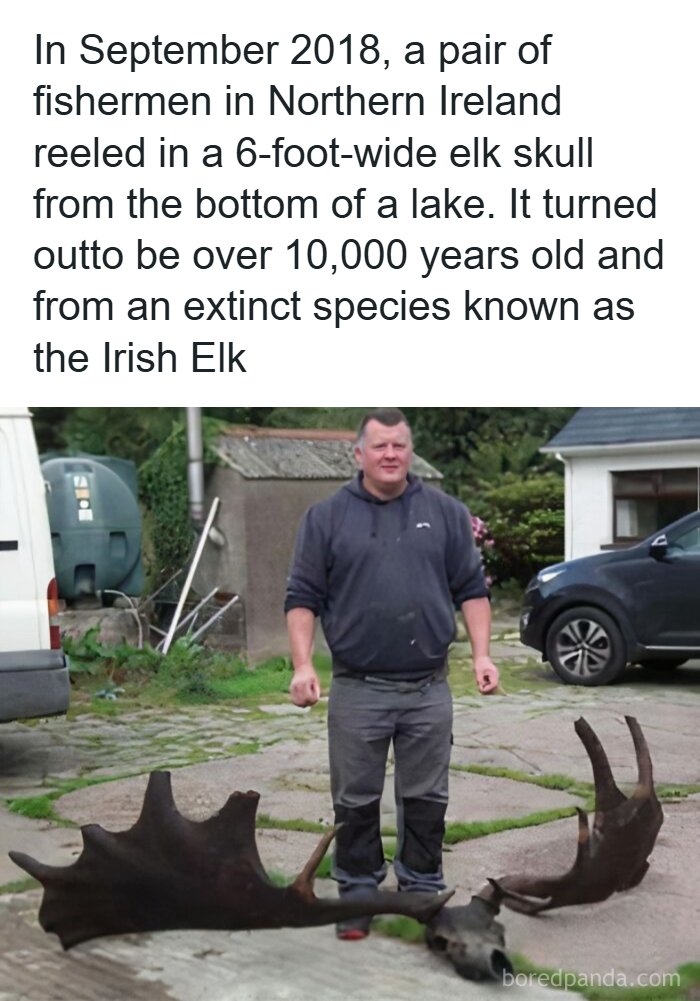 History Moments That Surprise You More Than Your Favorite Plot Twist