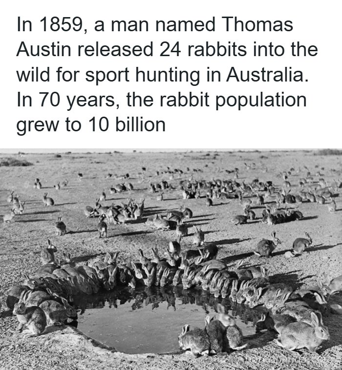 History Moments That Surprise You More Than Your Favorite Plot Twist