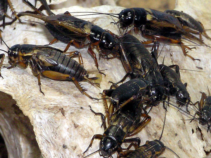 The Wildest, Pettiest Revenge Stories After Cheating Exes Got Caught (You’ve Gotta See These)