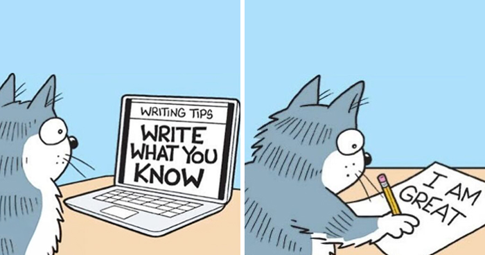 Wait, These Cat Comics Nailed Living With Cats To A T!