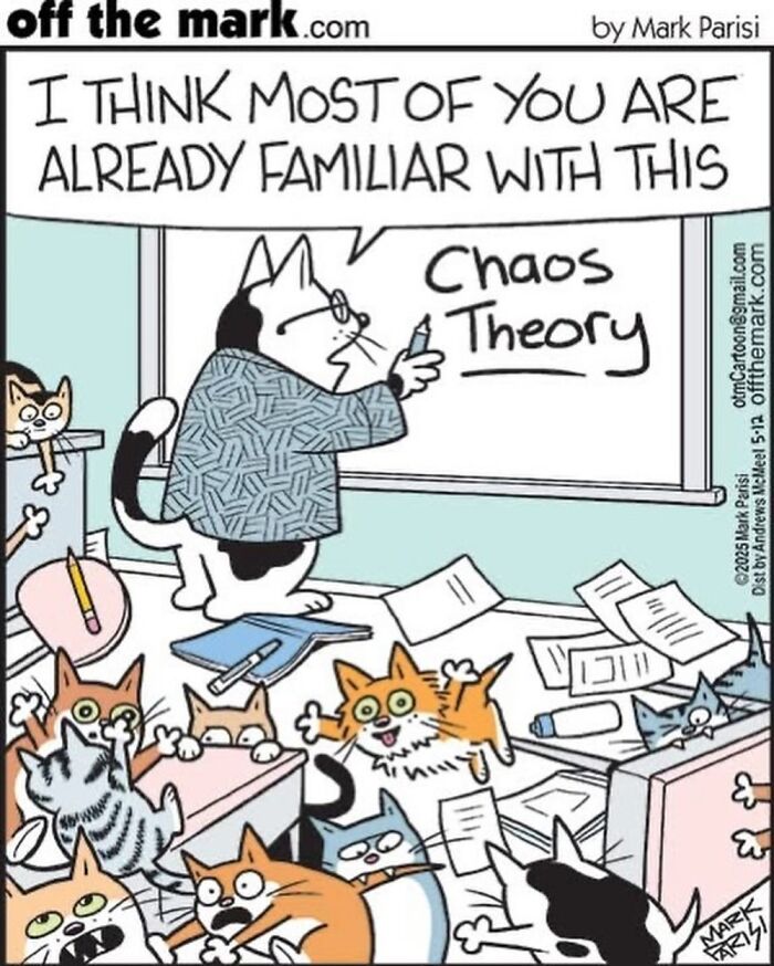 Wait, These Cat Comics Nailed Living With Cats To A T!