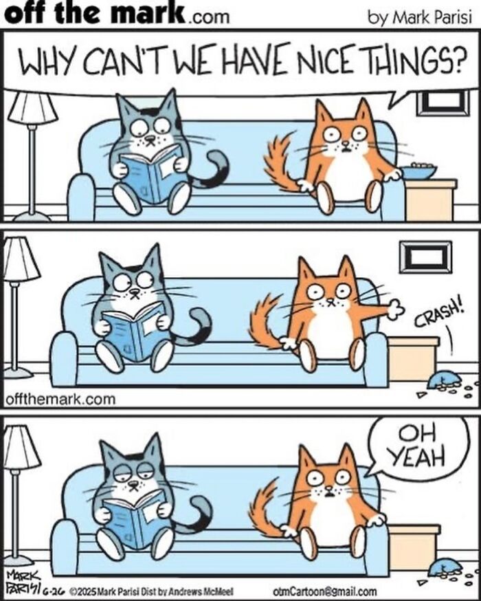 Wait, These Cat Comics Nailed Living With Cats To A T!