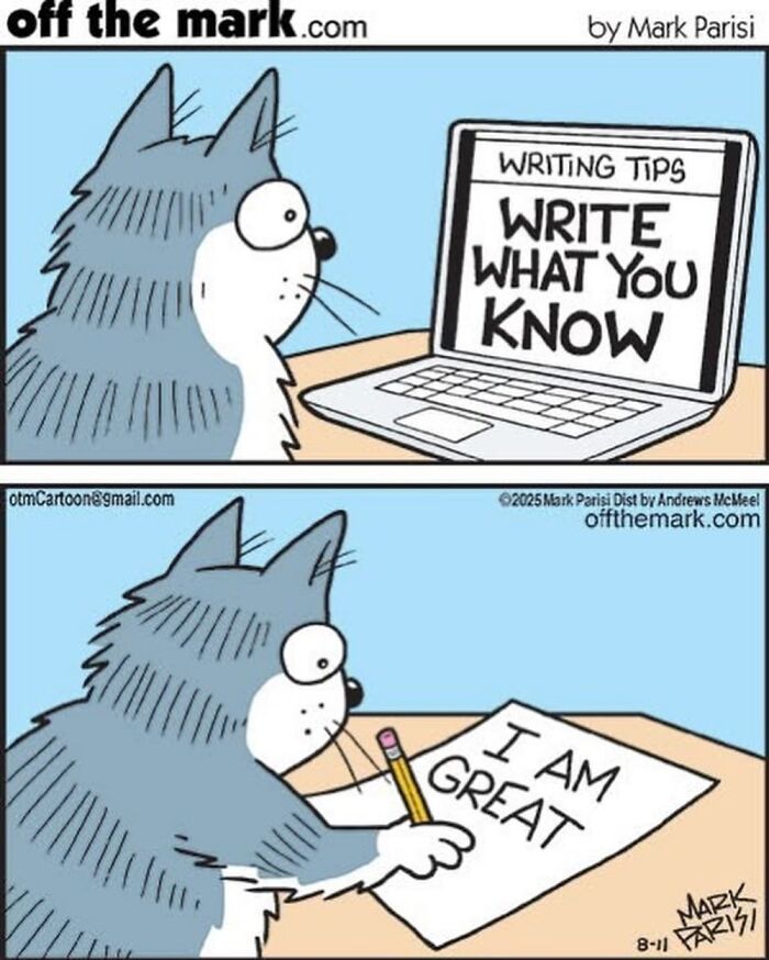 Wait, These Cat Comics Nailed Living With Cats To A T!