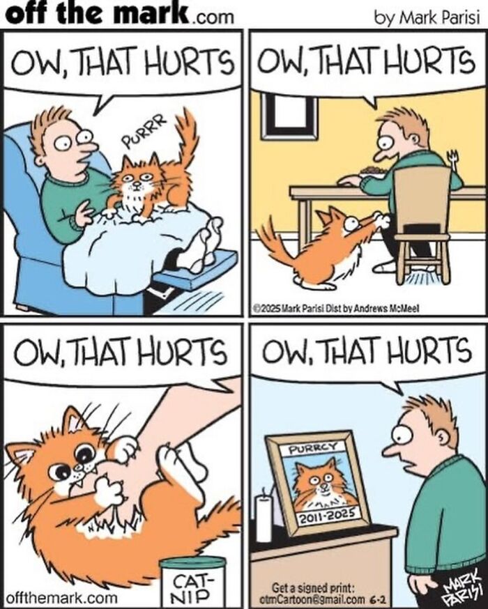 Wait, These Cat Comics Nailed Living With Cats To A T!