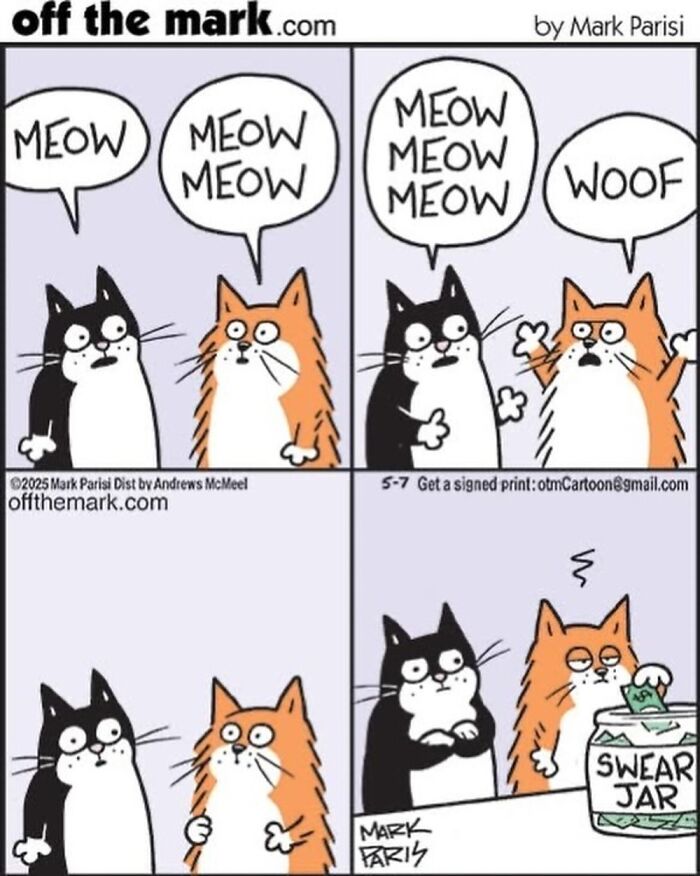 Wait, These Cat Comics Nailed Living With Cats To A T!