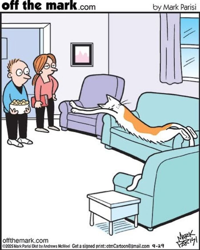 Wait, These Cat Comics Nailed Living With Cats To A T!