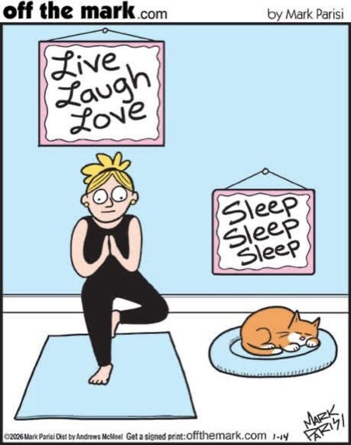 Wait, These Cat Comics Nailed Living With Cats To A T!