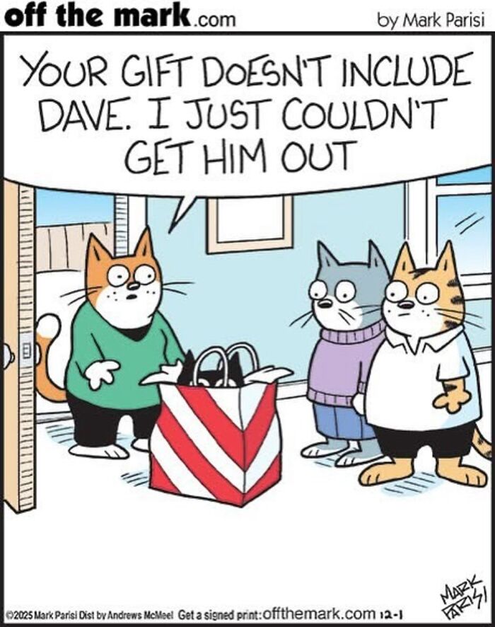 Wait, These Cat Comics Nailed Living With Cats To A T!