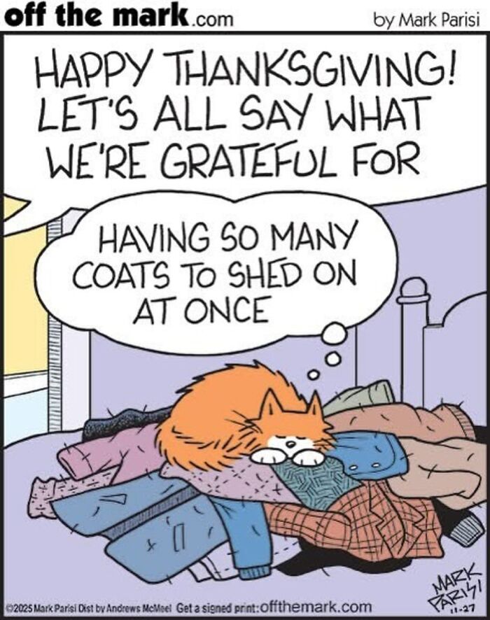 Wait, These Cat Comics Nailed Living With Cats To A T!