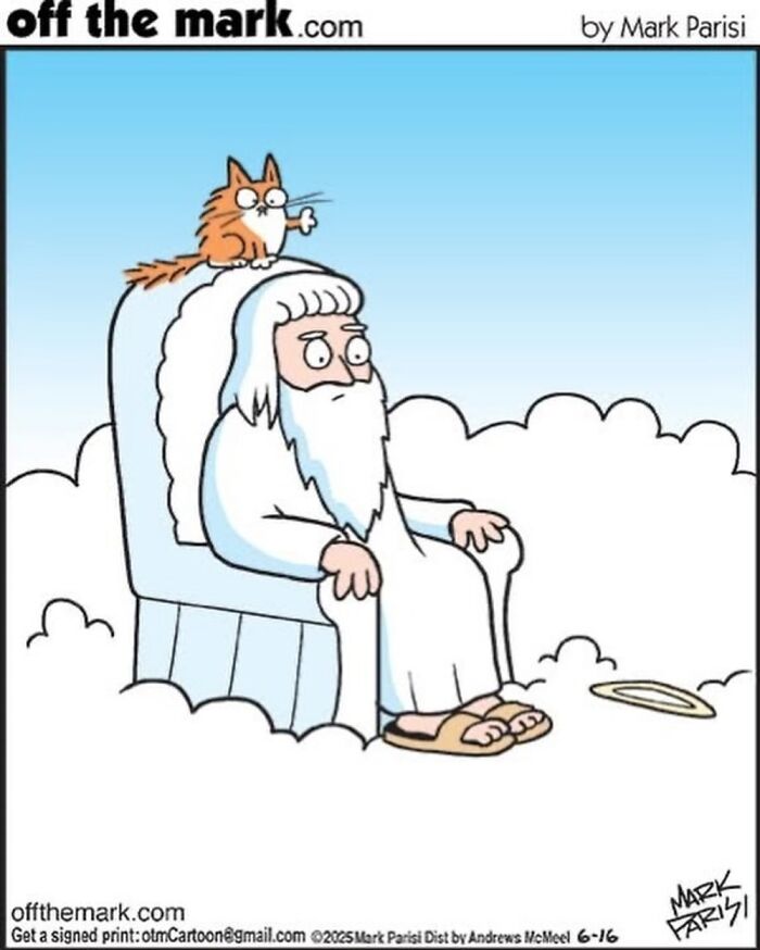 Wait, These Cat Comics Nailed Living With Cats To A T!