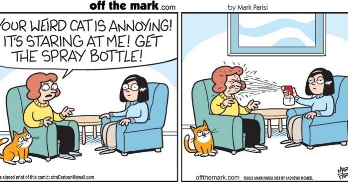Wait, These Cat Comics Nailed Living With Cats To A T!