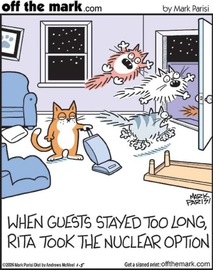 Wait, These Cat Comics Nailed Living With Cats To A T!